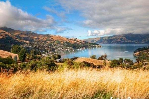 梦见朋友去算命