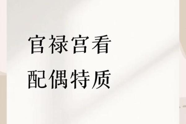 紫薇斗数官禄宫配偶 紫薇斗数官禄宫配偶