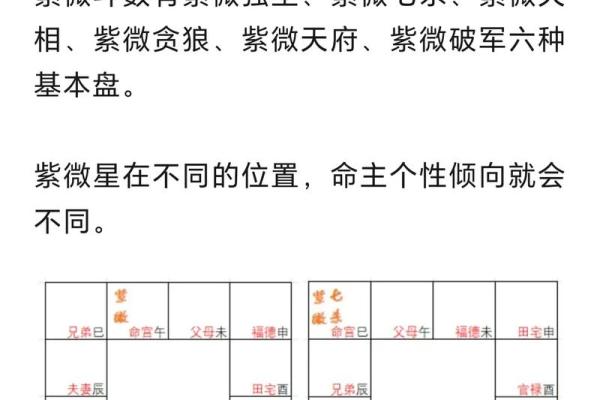 紫薇斗数紫薇入命 紫薇斗数紫薇入命