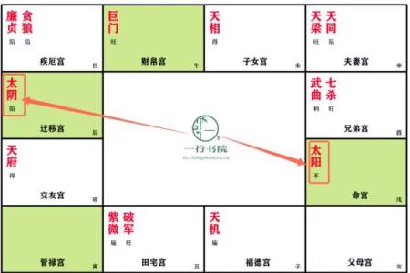 紫微斗数之兄弟宫与诸星,太阳星在兄弟宫是什么意思？