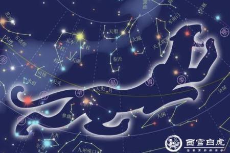 算命的说我是白虎女，克夫克子克自己——1