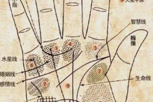 掌纹在线算命 掌纹在线算命