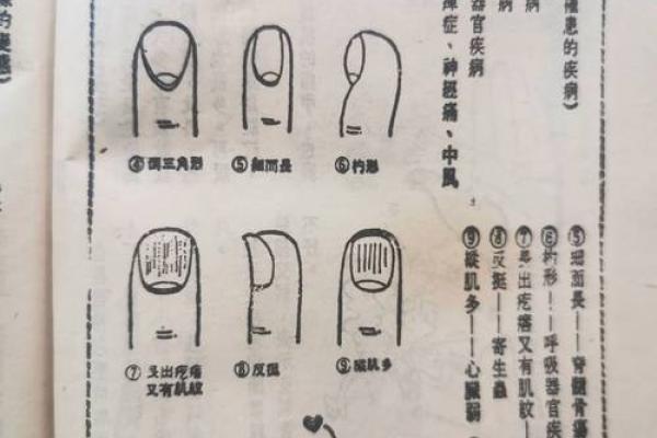 手相流年图算命——百发百中 手相流年图算命——百发百中