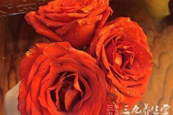 特朗普八字：木火通明三合局，大富大贵，官运坦荡