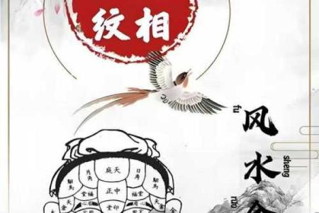 相全说风水