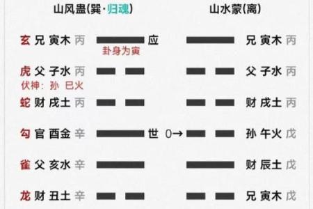 算命要减去夏令时吗