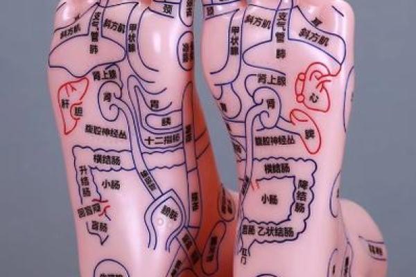 算命看脚相,脚心窝深的命运脚相