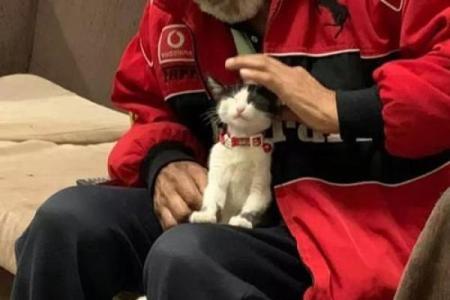 揭秘流浪八字男女的性格特点，解析流浪的原因