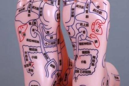 算命看脚相,脚心窝深的命运脚相