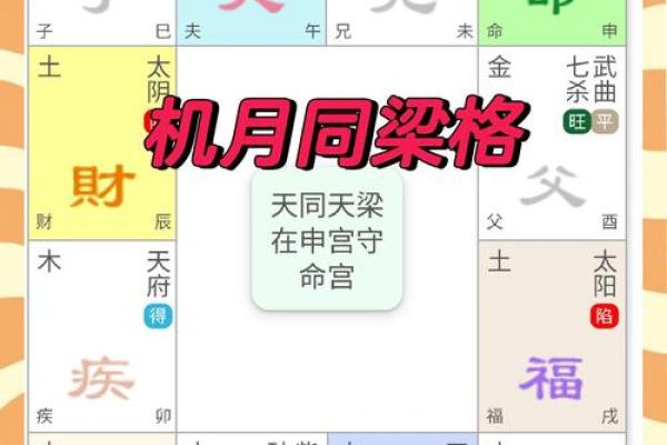 紫薇斗数命宫天梁 紫薇斗数命宫天梁