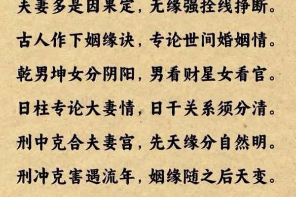 当我学会了看四柱八字怎么办 当我学会了看四柱八字怎么办