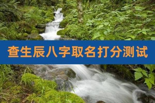 查男孩名字打分测试打分测试