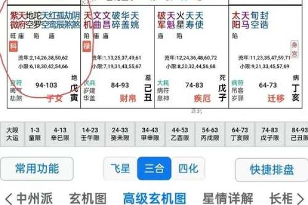紫薇斗数入内局