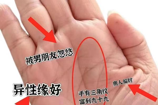 免费算命 异性缘很好的女命有哪些