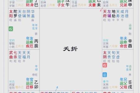 紫微财运曲线 紫微斗数测财运神巴巴？