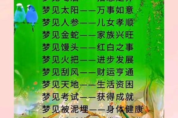 周公解梦今日运程免费算命