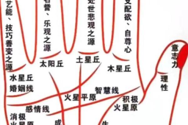 有横财偏财的手相女命八字