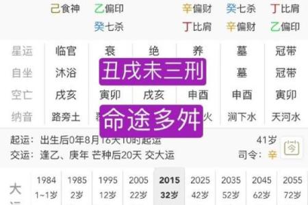中年人的八字命运分析图