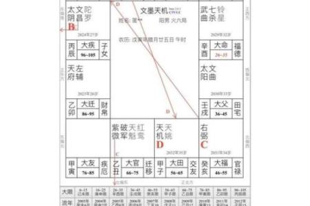 紫薇斗数紫薇星怎么定