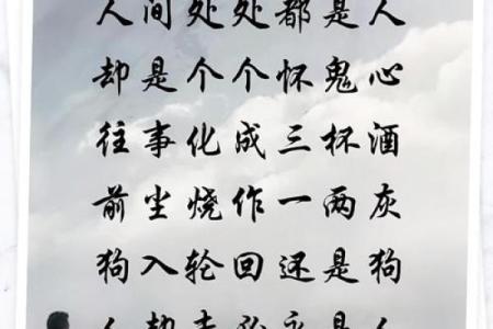 梦见不相信算命先生的话