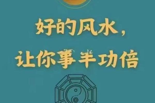 化解霉运的五大风水神物有哪些? 化解霉运的五大风水神物有哪些?