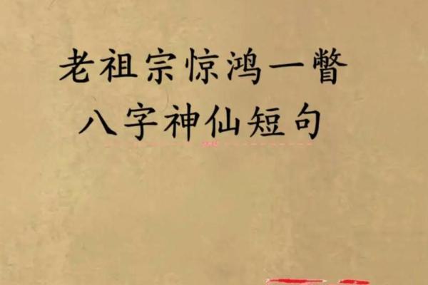 神仙八字 神仙八字