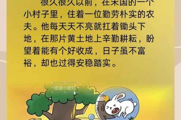 算命兔子在吃草,兔吃草是什么命 算命兔子在吃草,兔吃草是什么命