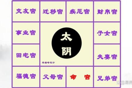 紫薇斗数太阴座是什么