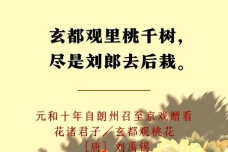 重视恋爱风水，让你桃花朵朵开