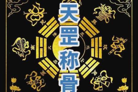 算命中的驳杂是什么意思  算命中什么叫末运