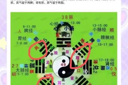 紫薇斗数阴阳五行生克制化