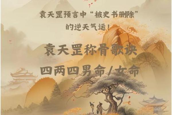 算命免费2024年运程 2024年运程免费算命