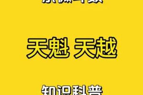 紫薇斗数怎么安天魁