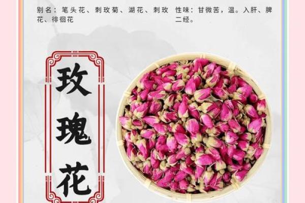 玫瑰花的风水和禁忌